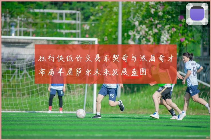 独行侠低价交易东契奇与浓眉奇才布局羊眉萨尔未来发展蓝图