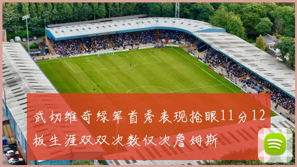 武切维奇绿军首秀表现抢眼11分12板生涯双双次数仅次詹姆斯